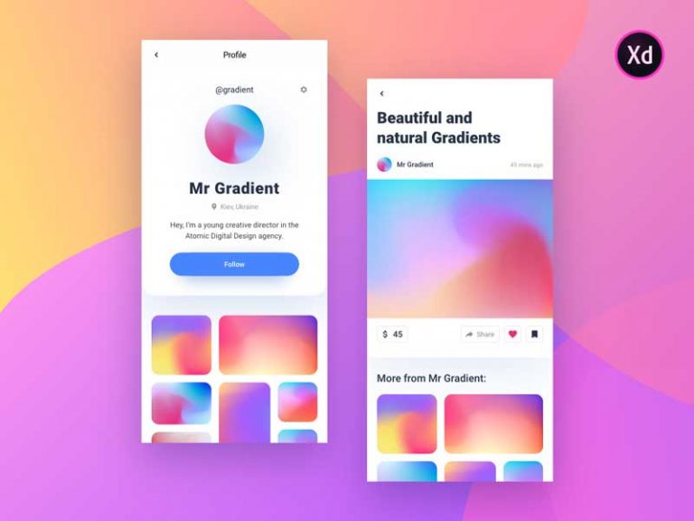 Download the Free Social Media Concept UI for Adobe Xd Freebiefy