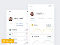 Free Mobile Crypto Wallet Sketch Template