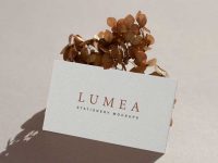Lumea Free Stationery Mockup Set