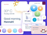 Free Cards and Widgets UI Kit for XD