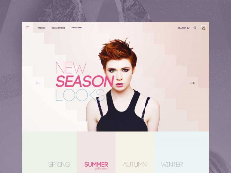Free Fashion Website Concept