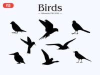 Free Birds PSD Vector Silhouettes