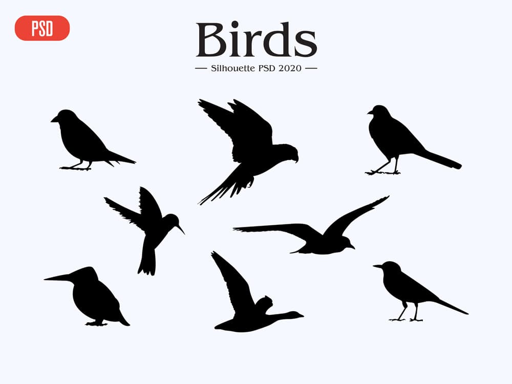 Download Free Birds PSD Vector Silhouettes - Free Illustrator Icon ...