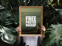Free Forest Poster Frame Mockup