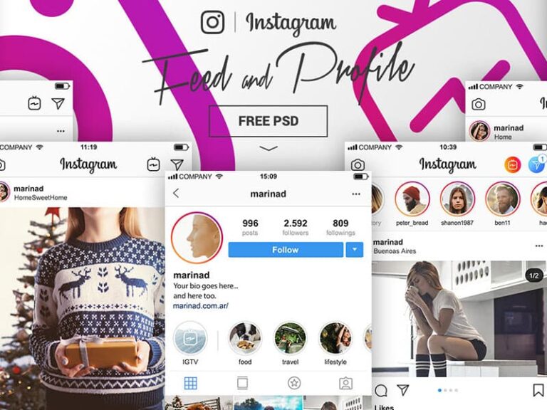 Free Instagram Feed and Profile PSD UI Kit
