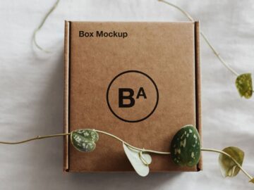 Free Craft Paper Box Mockup