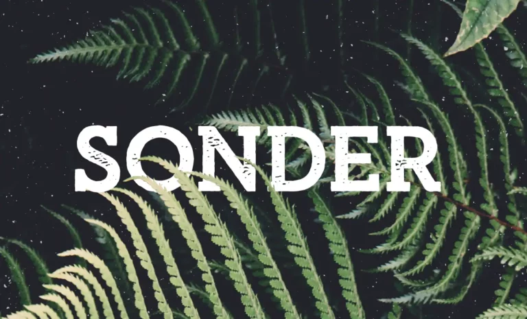 Sonder - Free Typeface