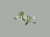 Viola - Free Typeface